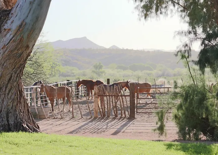 Resort Kay El Bar Guest Ranch 4*