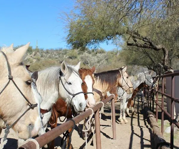 Kay El Bar Guest Ranch Wickenburg