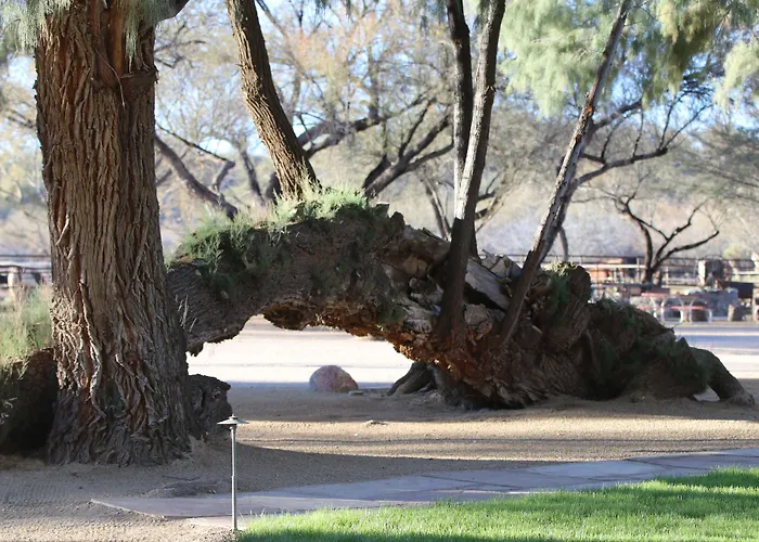 Kay El Bar Guest Ranch Wickenburg