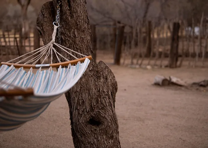 Kay El Bar Guest Ranch 4* Wickenburg